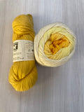 Iris Shawl Kit - Ombré