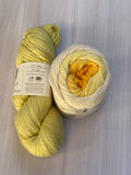 Iris Shawl Kit - Ombré