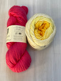Iris Shawl Kit - Ombré