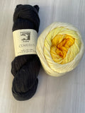 Iris Shawl Kit - Ombré