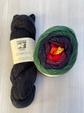 Iris Shawl Kit - Rainbow