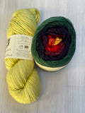 Iris Shawl Kit - Rainbow