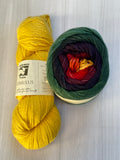 Iris Shawl Kit - Rainbow