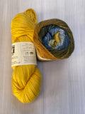 Iris Shawl Kit - Rainbow