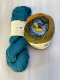 Iris Shawl Kit - Rainbow