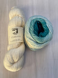 Iris Shawl Kit - Ombré