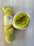 Iris Shawl Kit - Ombré