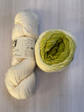 Iris Shawl Kit - Ombré