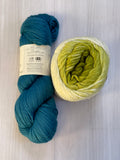 Iris Shawl Kit - Ombré