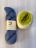 Iris Shawl Kit - Ombré