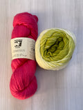 Iris Shawl Kit - Ombré