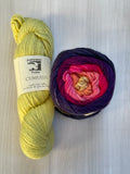 Iris Shawl Kit - Rainbow