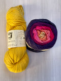 Iris Shawl Kit - Rainbow