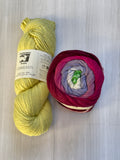 Iris Shawl Kit - Rainbow