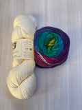 Iris Shawl Kit - Rainbow