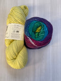 Iris Shawl Kit - Rainbow