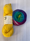 Iris Shawl Kit - Rainbow
