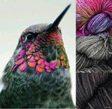 Hummingbird - Yarnveda